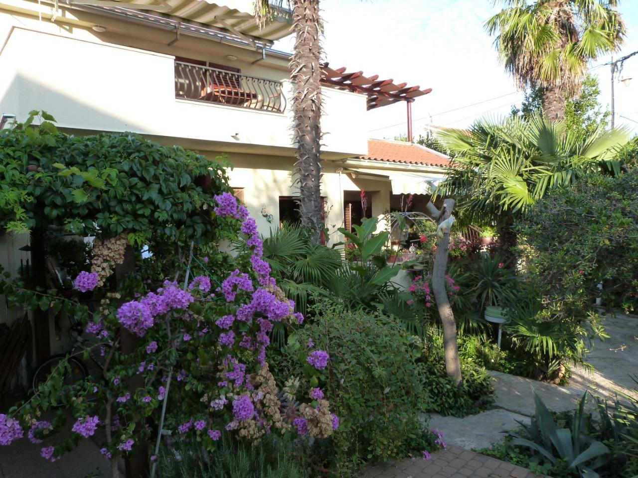 Apartments Eva Sukošan Exterior foto